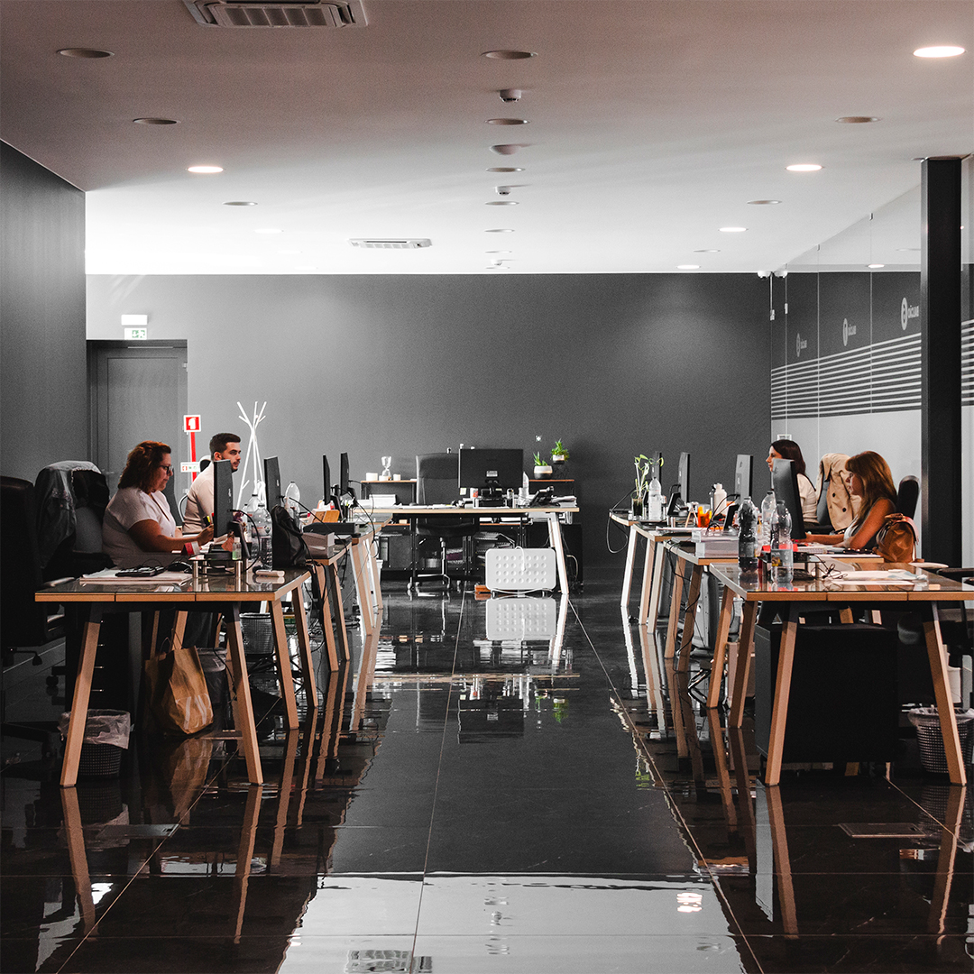 Jogo de Tabuleiro Benecar image 3